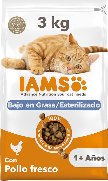 Alimento Seco Gatos