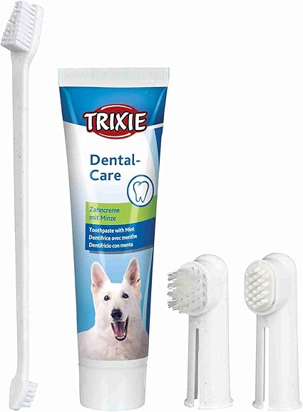 Kit dental perros